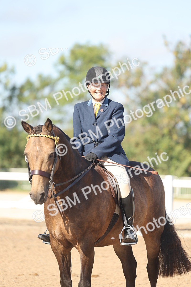 SBM_22326 - Class 803 - Ridden Combination 65+