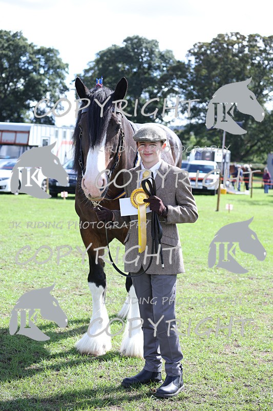 APP_3467 - Class 6 Young Handlers