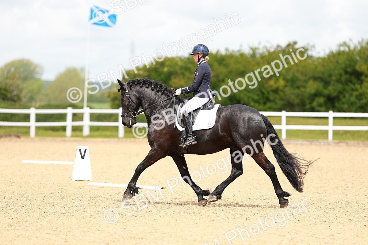 1I0A6773 - Class 5 - Novice 5