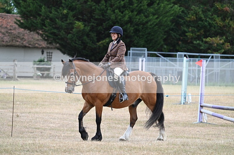WJ7_0257 - Class 6 Ridden Mountain and Moorland