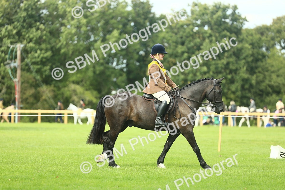 SBM_44869 - Working Hunter Pony Supreme Championship