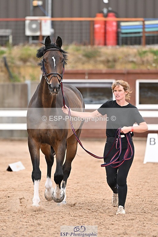 250716-163409-02671 - Trot Up 4.30 to 5.00