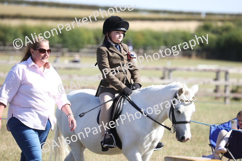 20260906-2164 - Class 16 - Family Pony