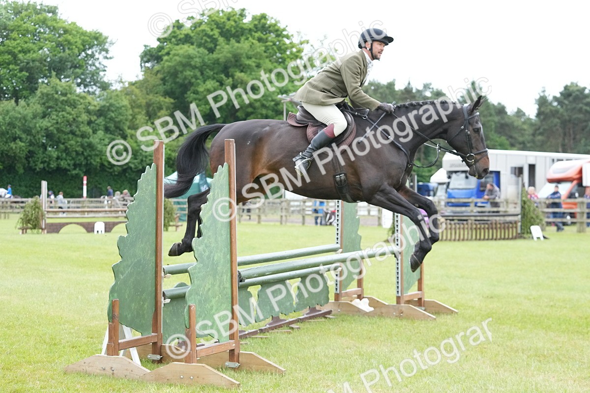 SBM_12545 - Class 97-98 - LIHS BSHA Rising Star Working Show Horse Hunter