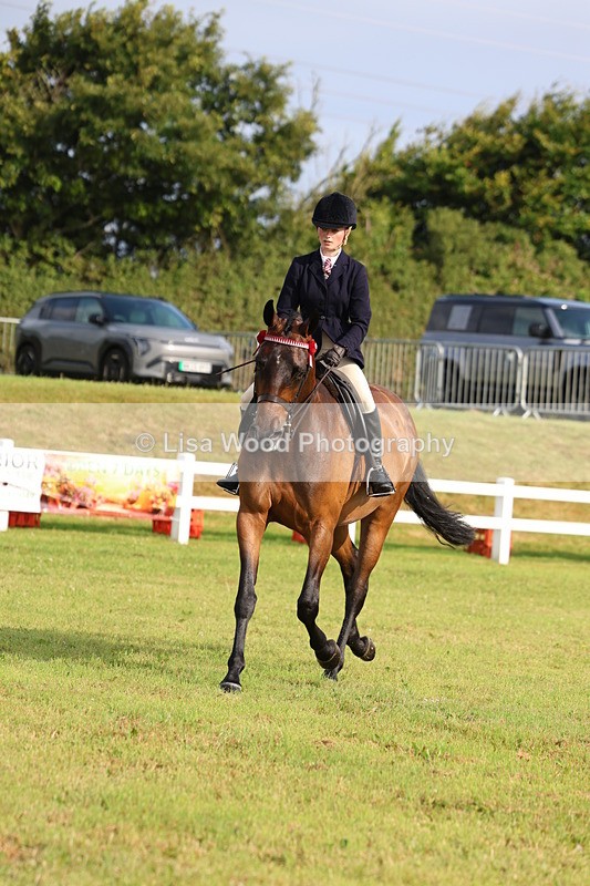3E7A8162 - Class 2: Rising Star Large Hack/Riding Horse