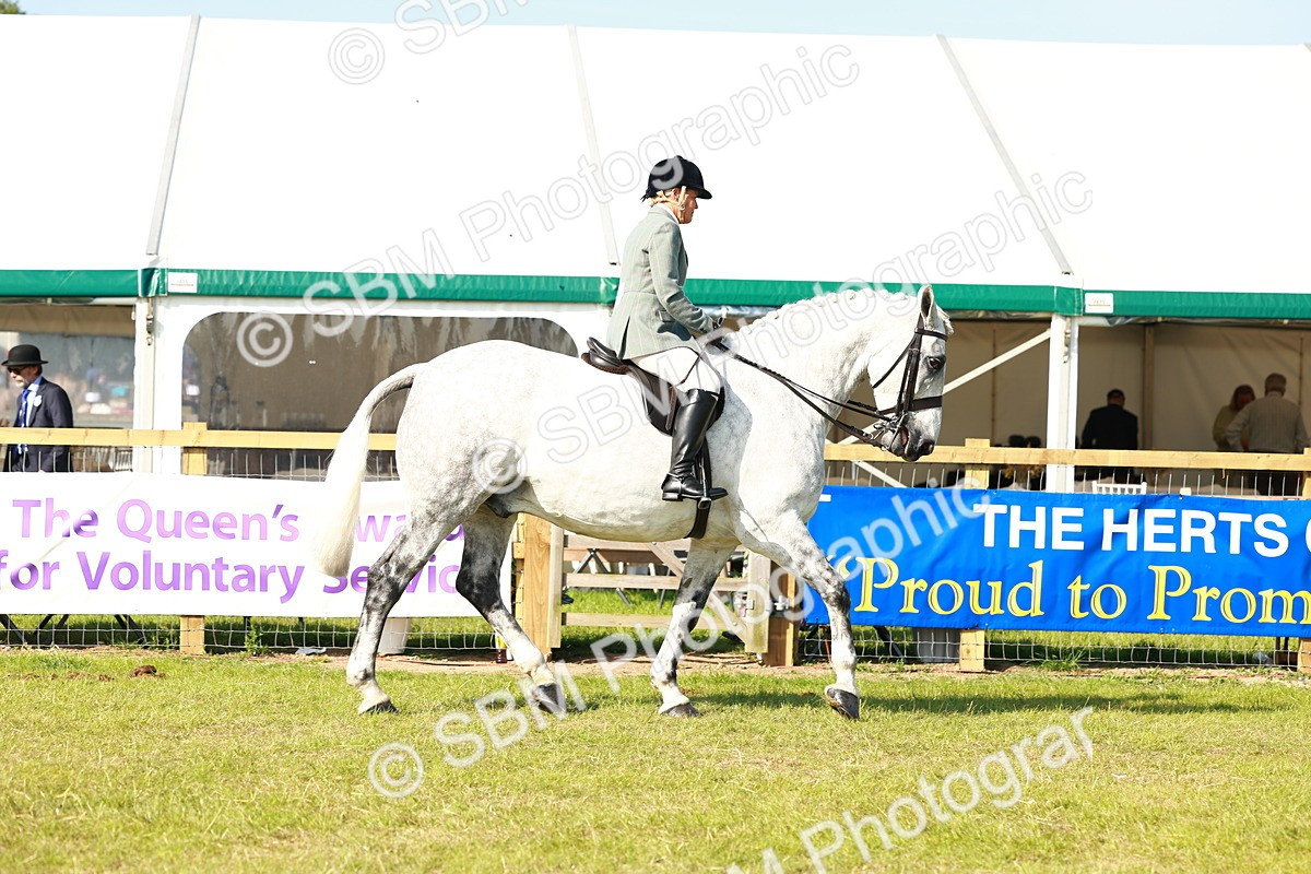 SBM_11752 - Class 66-69 - RIHS Ridden Hunters Inc Small Hunter