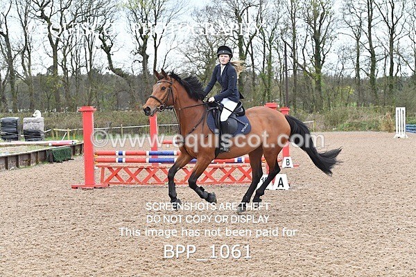 BPP_1061 - CLASS 2 Club/ Unaffiliated 80cms Open