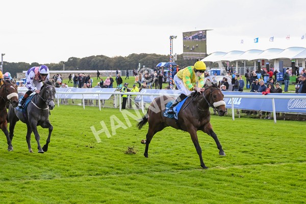 111024-Race 4-End Of Story-1824 - Race 4 3.10pm Parsonage Hotel And Cloisters Spa Nursery Handicap