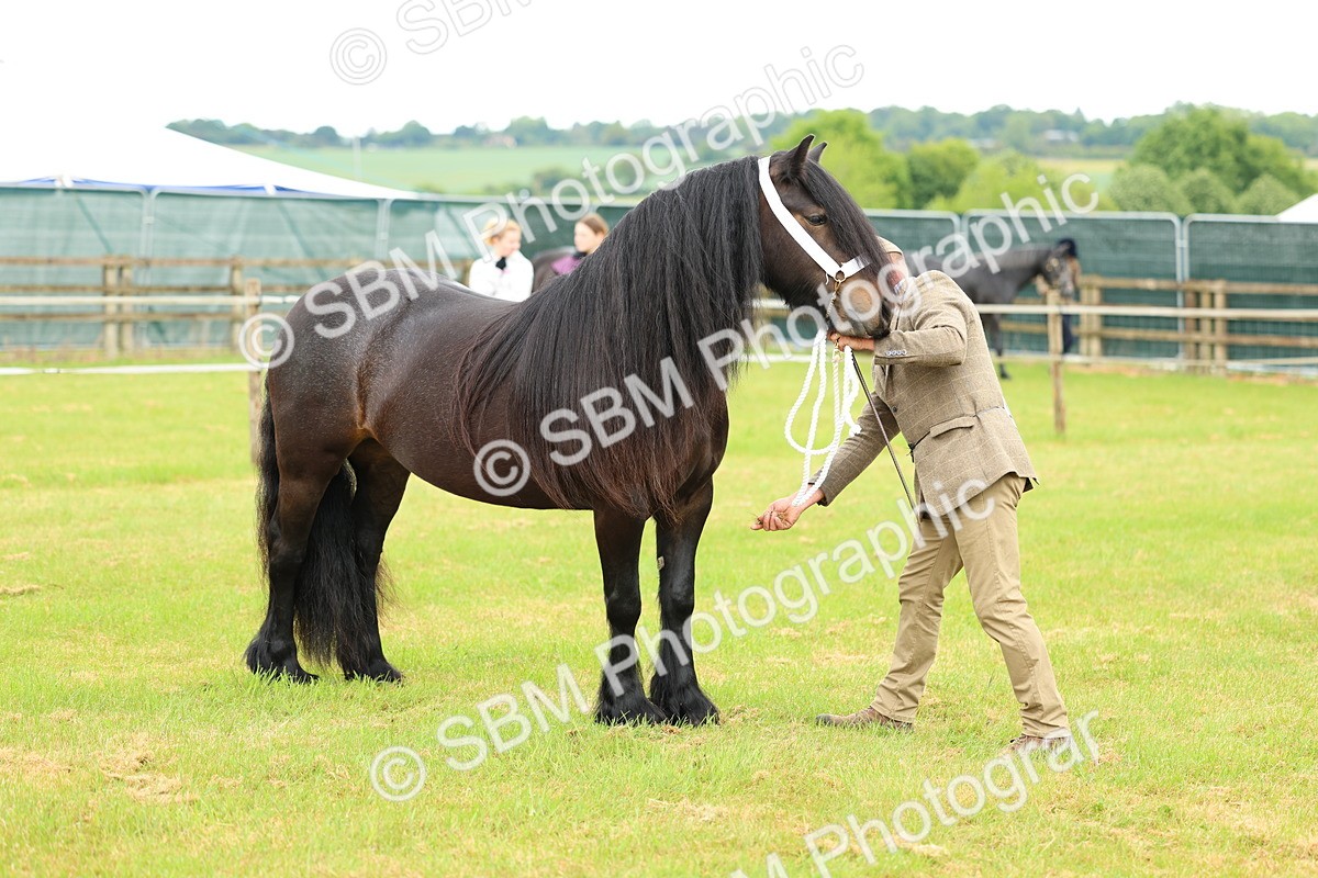 SBM_00547 - Class 58-67 - M&M Non Welsh Pony In hand