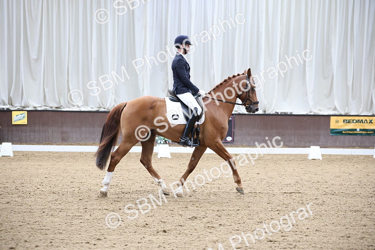 SBM_002825 - Class 5 - Novice 6 Gold - 10.24-11.30