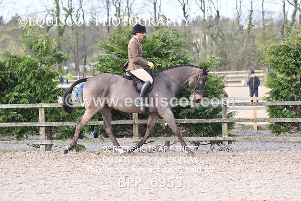 BPP_6953 - RING 1  (RIDDEN HORSES / IN HAND / VETERAN ETC)