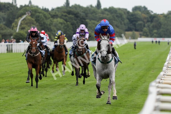 yr23072022r5-23 - Race 5 4.25pm Sky Bet UK's No1 Betting App Stakes