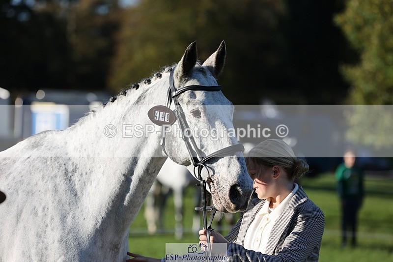 241027-085913-14945 - 448-Elise.Washer-MENELAUS