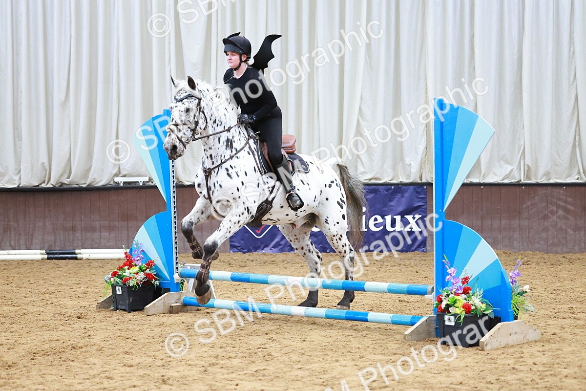 SBM_001729 - Class 3 - Horse & Hound (60cm)