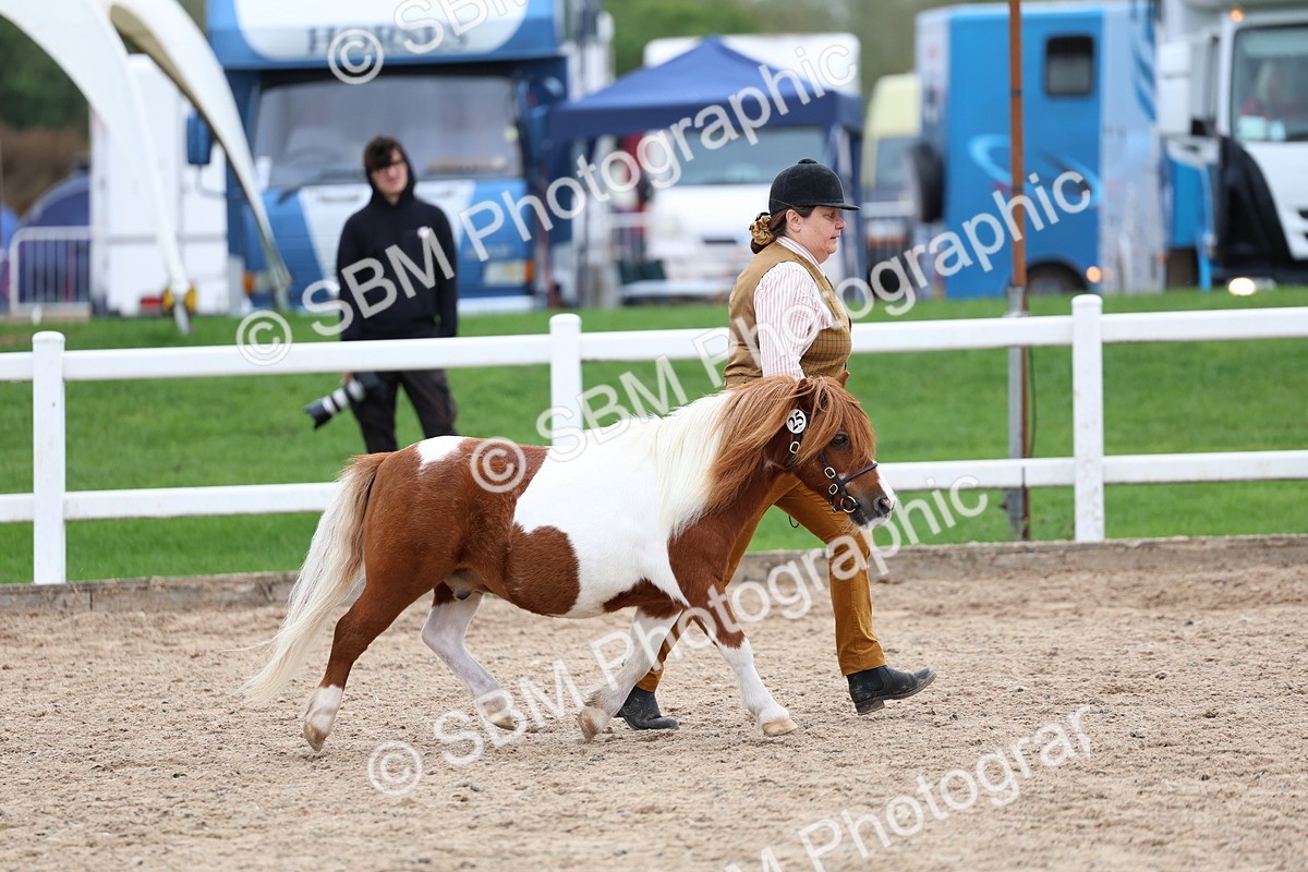 SBM_05910 - Class 29 - IH Veteran Pony