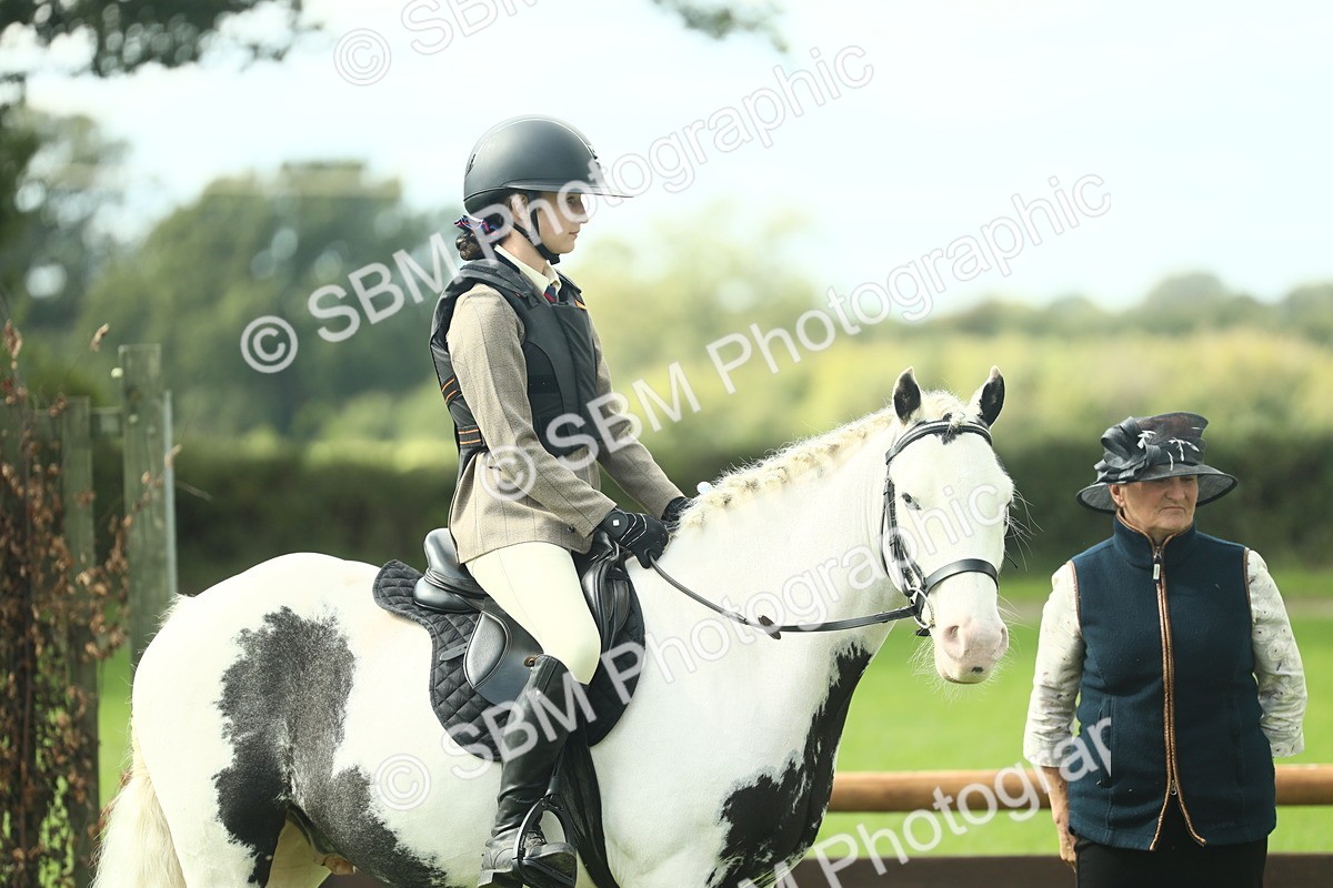 SBM_44695 - S31 - Working Hunter Pony