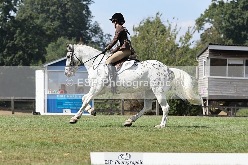 250823A-132108-31297 - Arena D