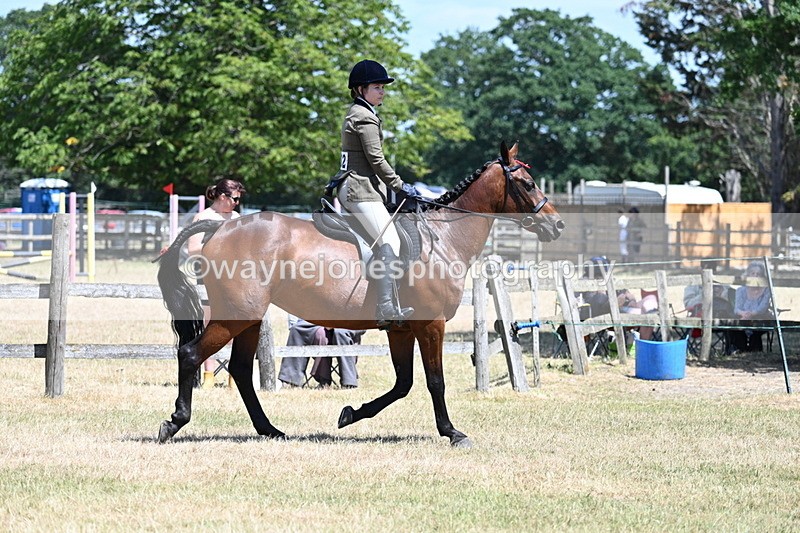 WJ7_2858 - Class 7 Riding Club Show Horse