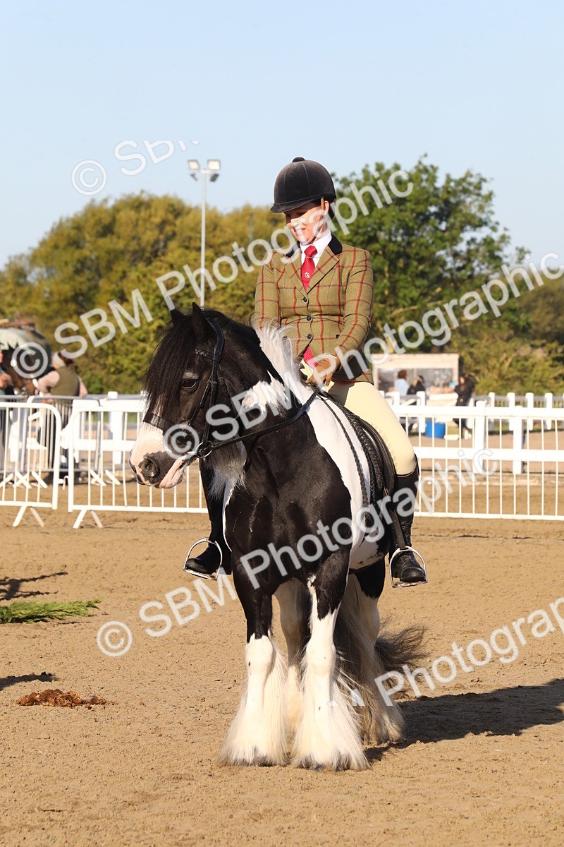 SBM_07915 - Class 501 - Riding Club Pony