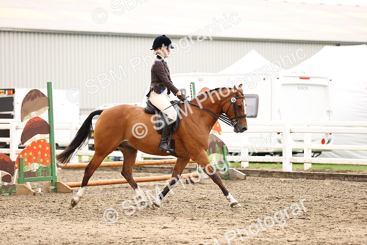 SBM_00538 - Class 53 - Ridden Competition Horse Pony