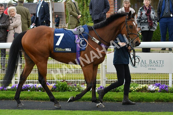 yr22052021r4-6 - Race 4 3.50pm WilliamHill.com Best Odds Guaranteed Stakes