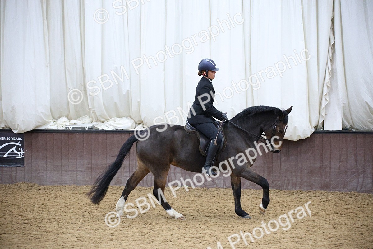 5K7A6075 - Class 48 - Ridden Mare