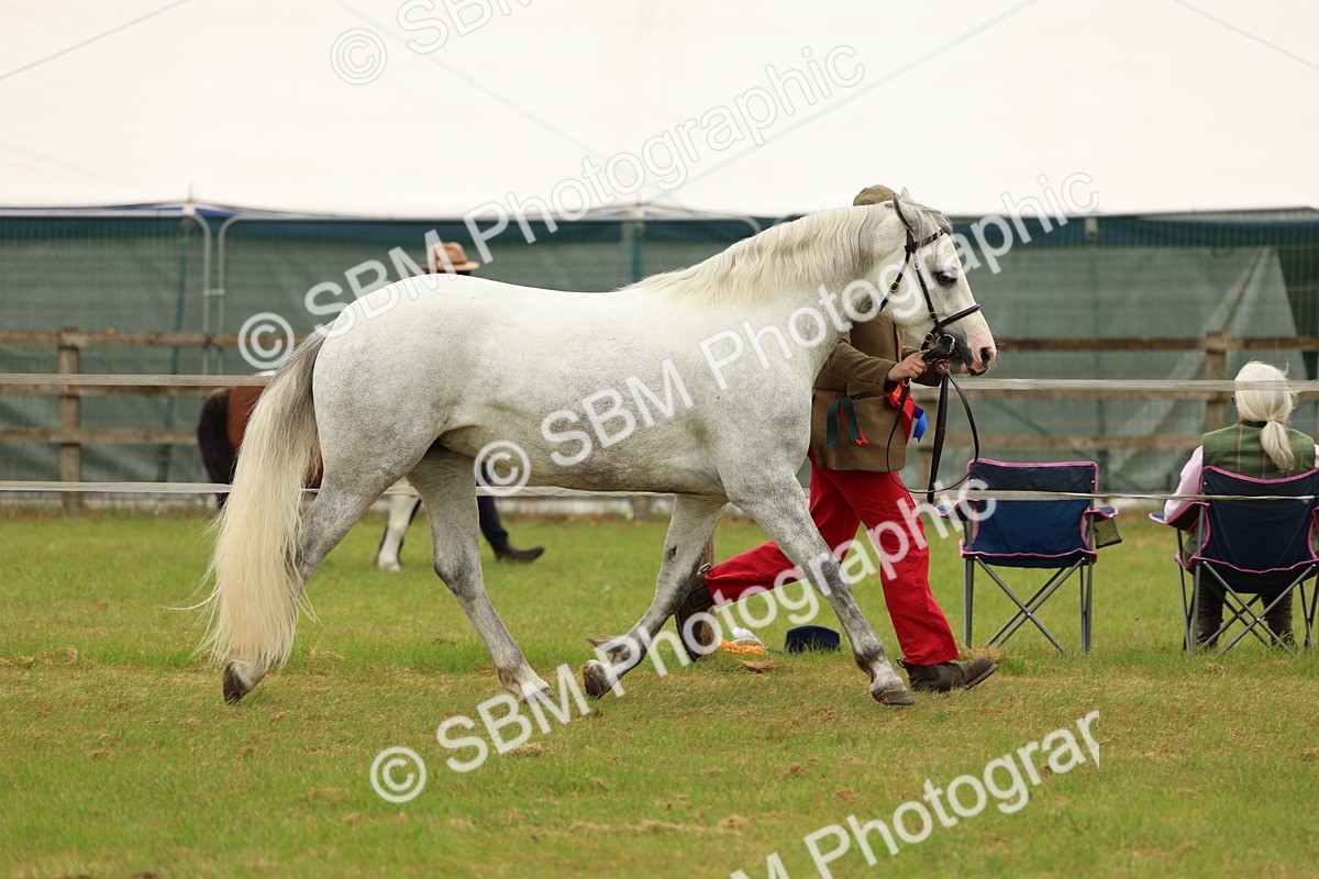 SBM_04300