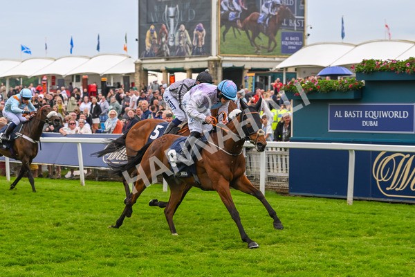 250524-Race 4-Term Of Endearment-3608 - Race 4 3.20pm William Hill Bronte Cup Fillies' Stakes