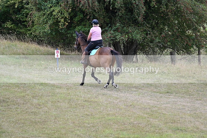 WJ7_6172 - Time 11:50 to 12:09