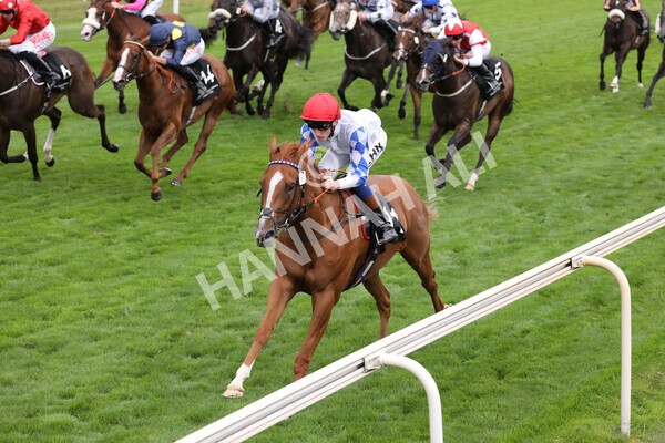 yr17082022r6-18 - Race 6 4.45 pm Celebrate ITM’s 200th IRE Voucher Winner Stakes