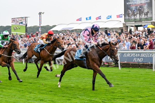 250725-Race 3-Amakhala Warrior-0526 - Race 3 6.38pm Ire-Incentive, It Pays To Buy Irish EBF Restricted Novice Stakes