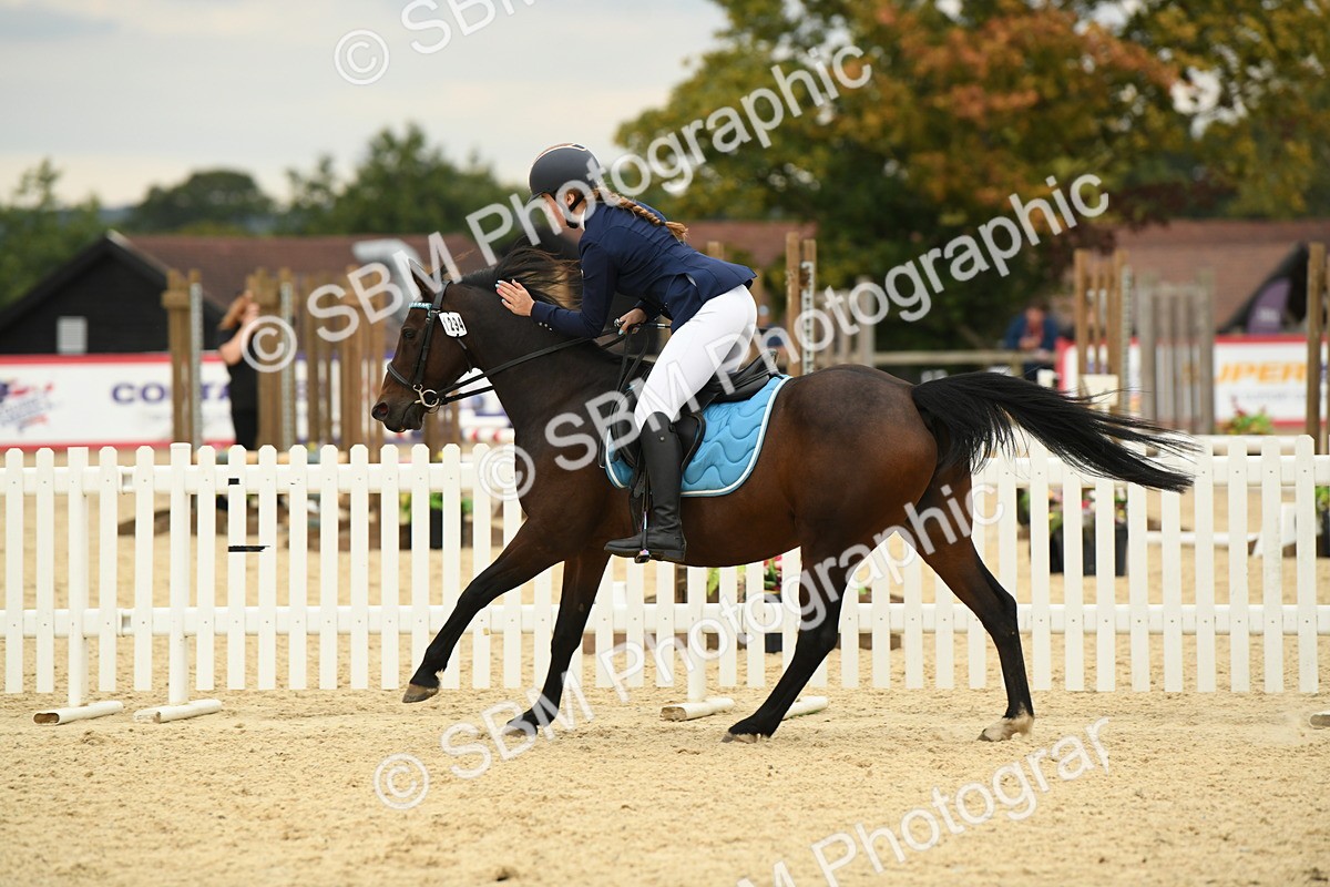SBM_73128 - J16 - Junior Pony 75cm Championship