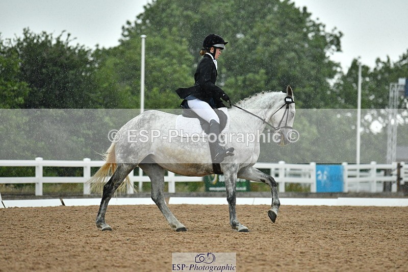 230708A-122828-02798 - Prelim 13