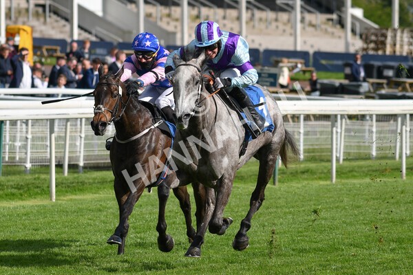 yr22052021r7-34 - Race 7 5.25pm Hudson Quarter York Palace Capital Stakes - Gentleman Amateur Riders Race