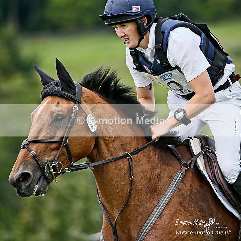 060817 -614a - Equestrian