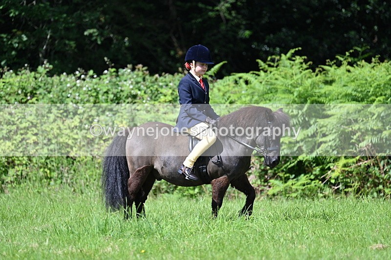 WJ7_1203 - Class 11 Condition & Turnout