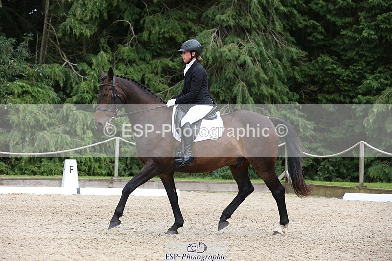 230812-153134-05151 - Cls 5 Novice Bronze 15.00 to End