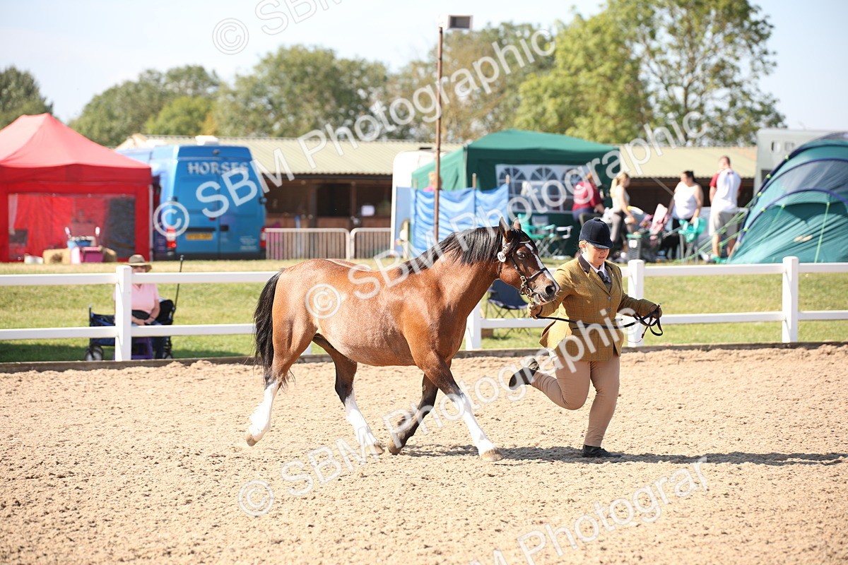 SBM_02691 - Class 16 IH M&M Wildcard