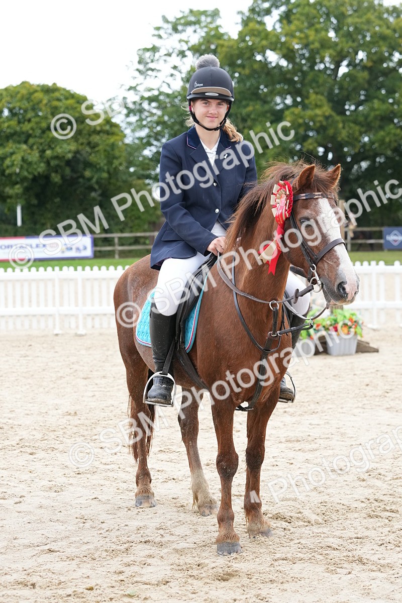 SBM_40875 - Supreme Championship Pony 50-55cm