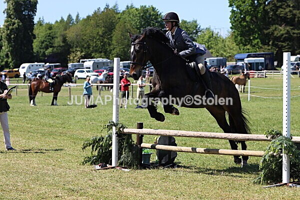IMG_4024 - Working Hunter