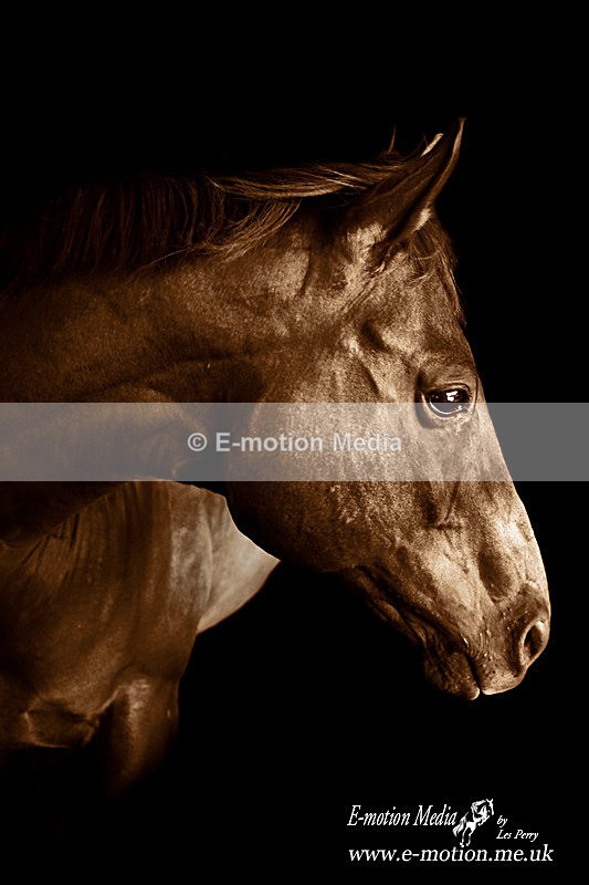 _LES5891a - B & W photography