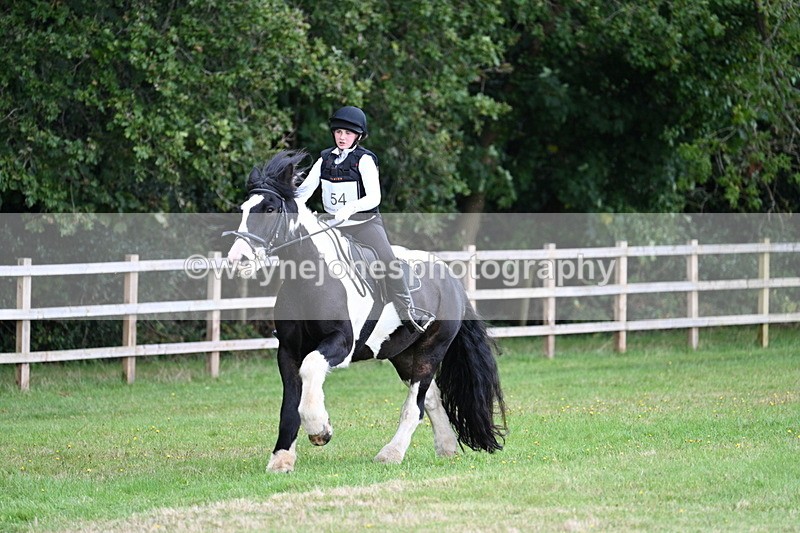 WJ7_8382 - 60cm Time 12:11 to 12:30