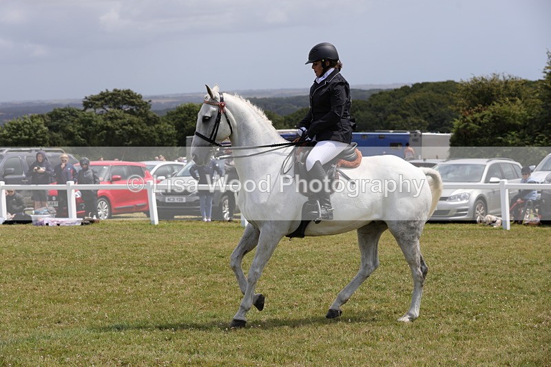 1X9A4526 - Class 34: Veteran Ridden