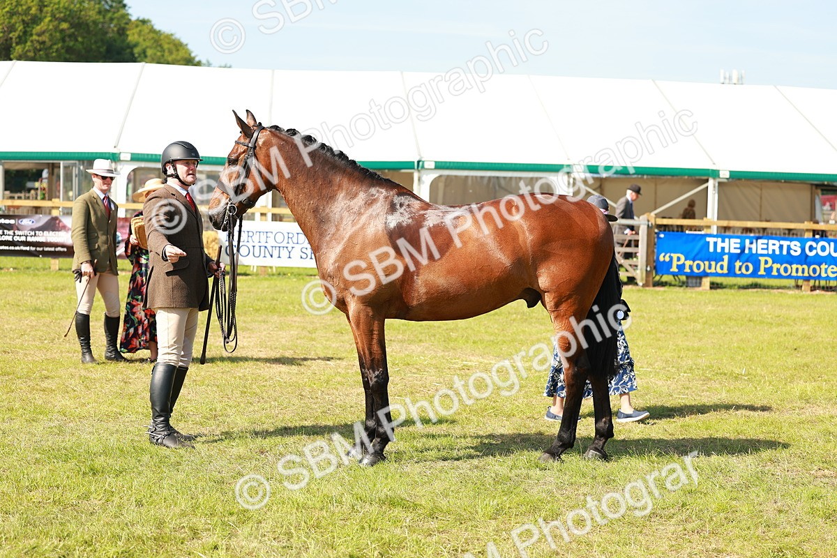 SBM_12075 - Class 66-69 - RIHS Ridden Hunters Inc Small Hunter