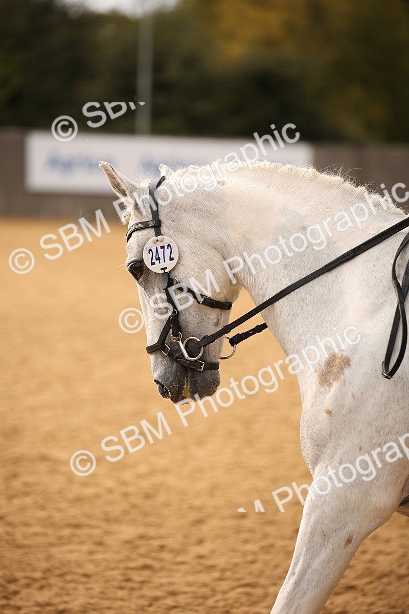 SBM_12321 - D3 Small  Tour Championship Intro A