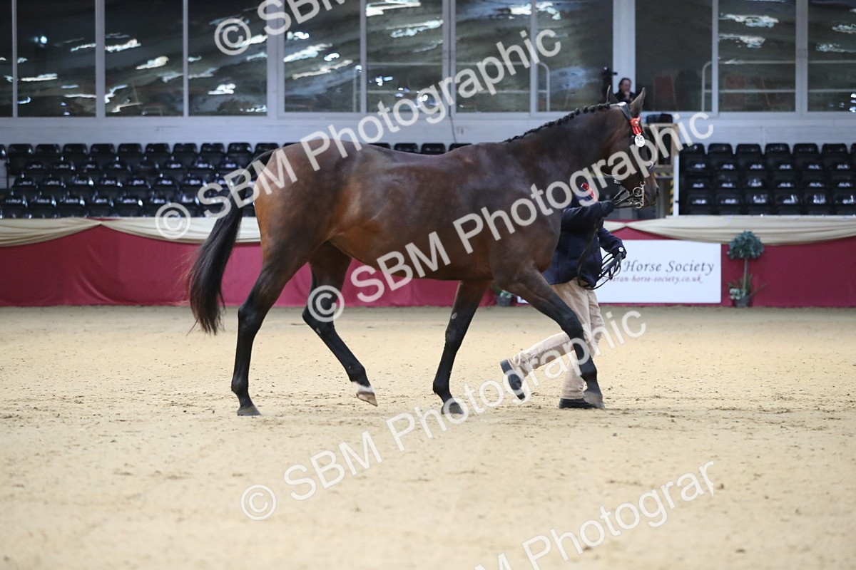 SBM_00229 - Class 1a - Area IH Diamond