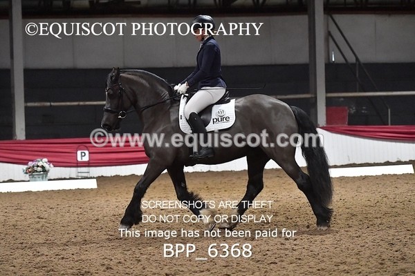 BPP_6368 - 37 Ellis Simister