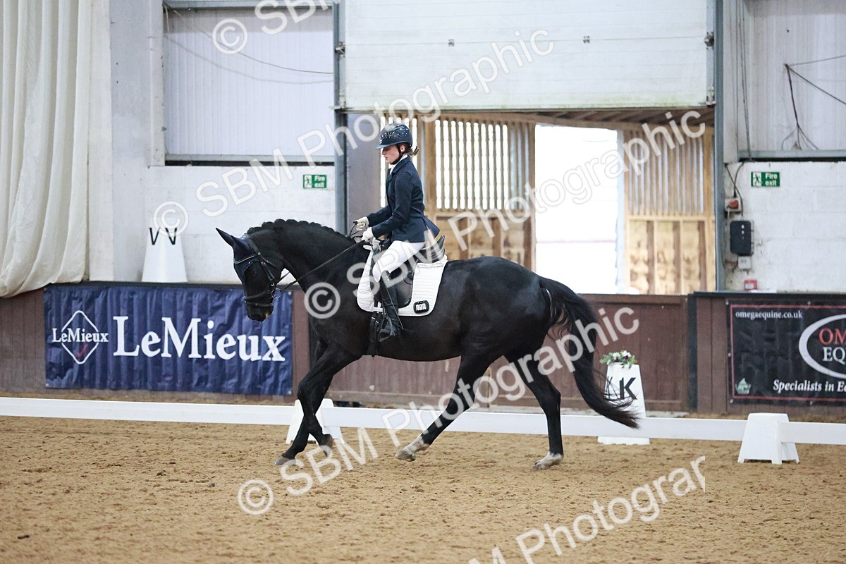 SBM_004713 - Ring 3 - International -  Working Hunter Classes 23-2-25