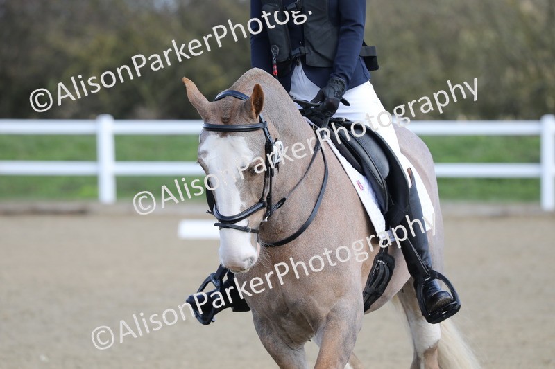 20260314-0333 - DR1 - Intro 1