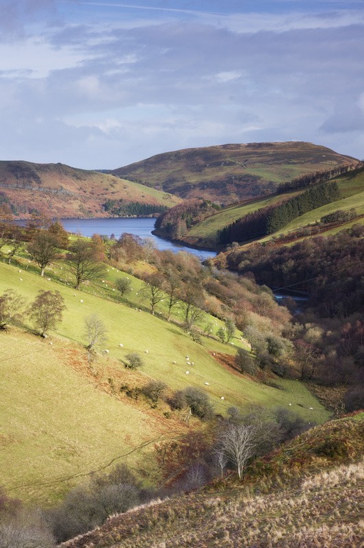 Cambrian Beauty - Wales